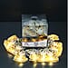 String Lights with Multi Color Cute Elephants (AA Batteries not incl.)