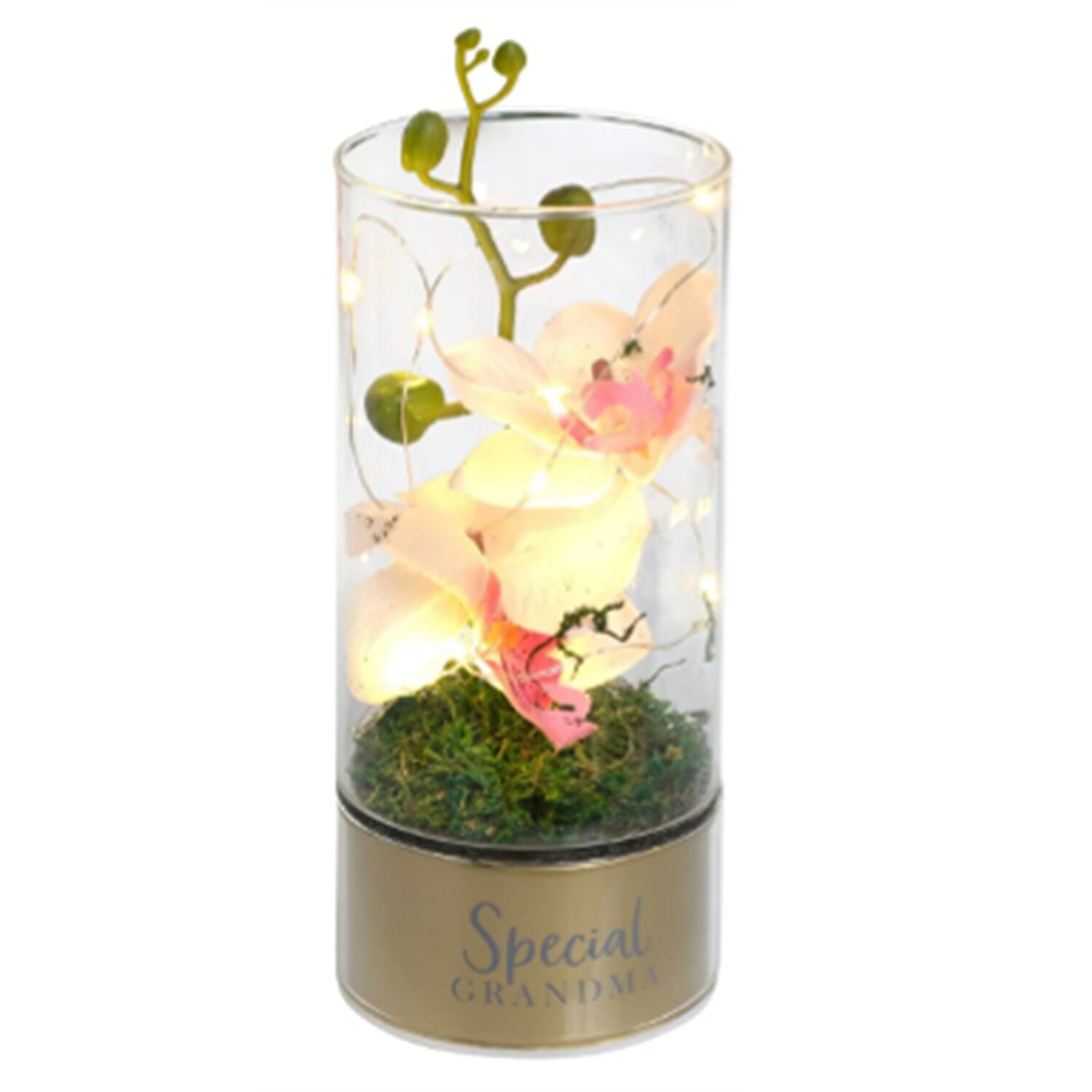 Orchid Flowers & LED Light Display