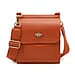 Alice Wheeler London Bloomsbury Vegan Leather Crossbody Bag - Adjustable Strap & Bee Insignia - Tan