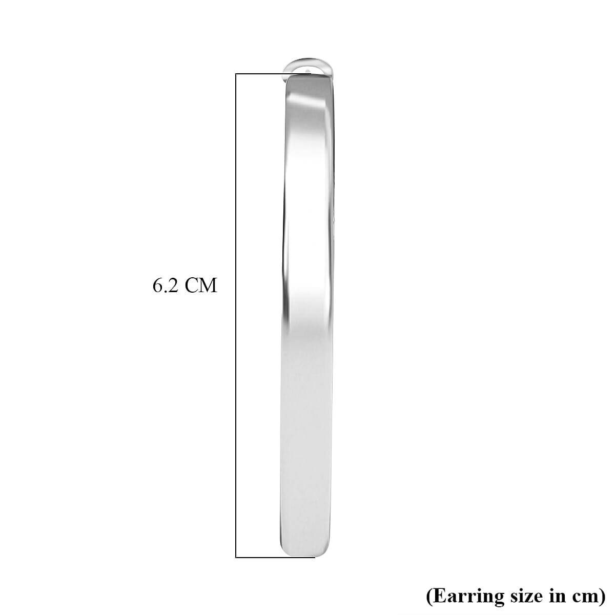 Large Hoop Earring with Fancy Clasp Large Hoop Earring with Fancy Clasp