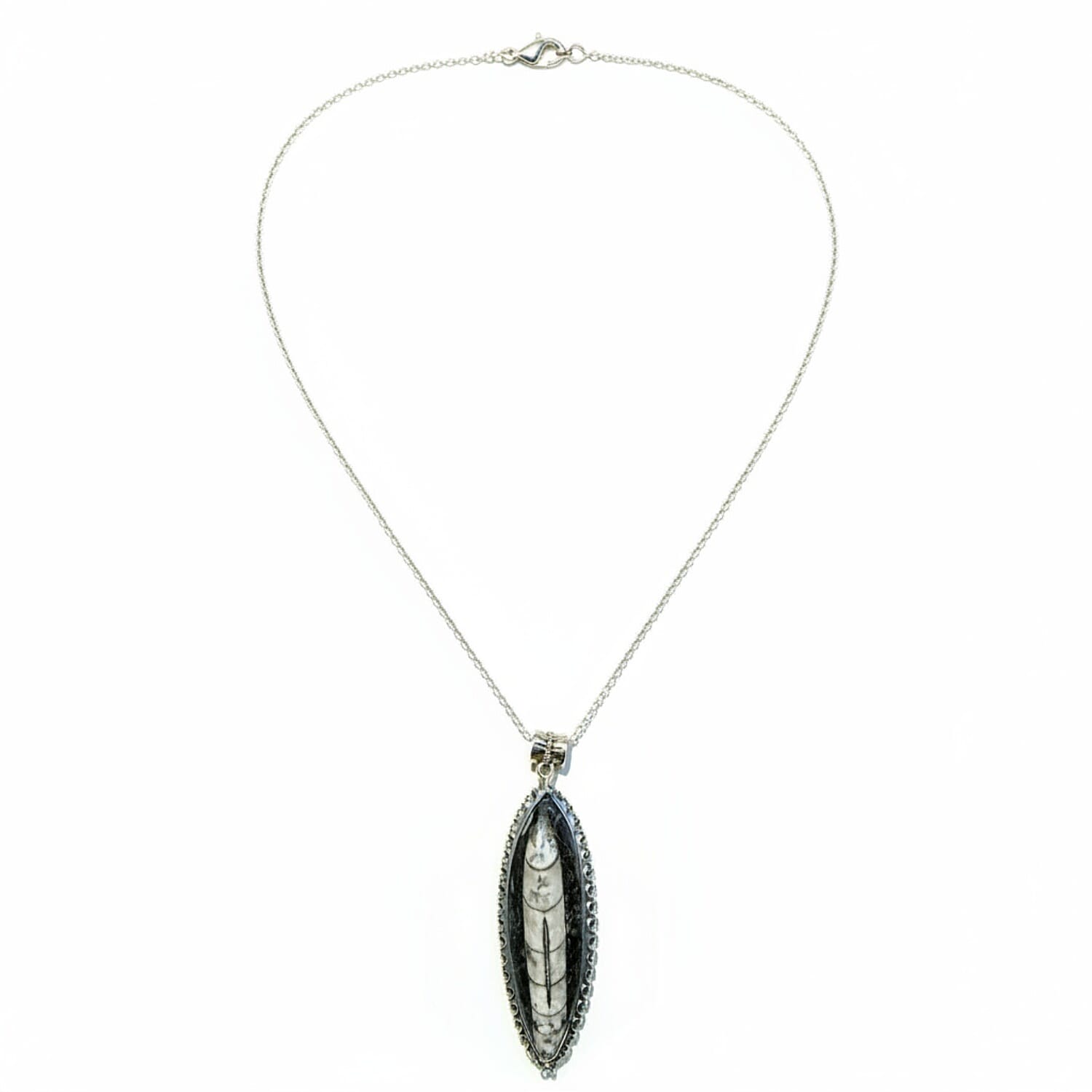 The Artefact Collection - Orthoceras Fossil Pendant 59.00 Ct.