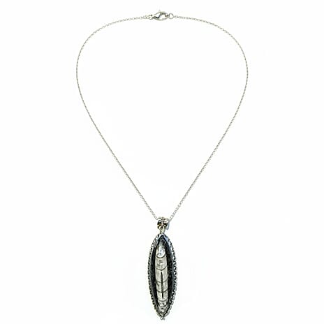 The Artefact Collection - Orthoceras Fossil Pendant 59.00 Ct.