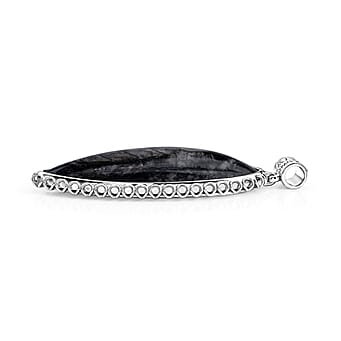 https://tjcuk.sirv.com/Products/81/8/8184179/The-Artefact-Collection-Orthoceras-Fossil-Pendant-59-00-Ct_8184179_1.jpg?w=342&h=342
