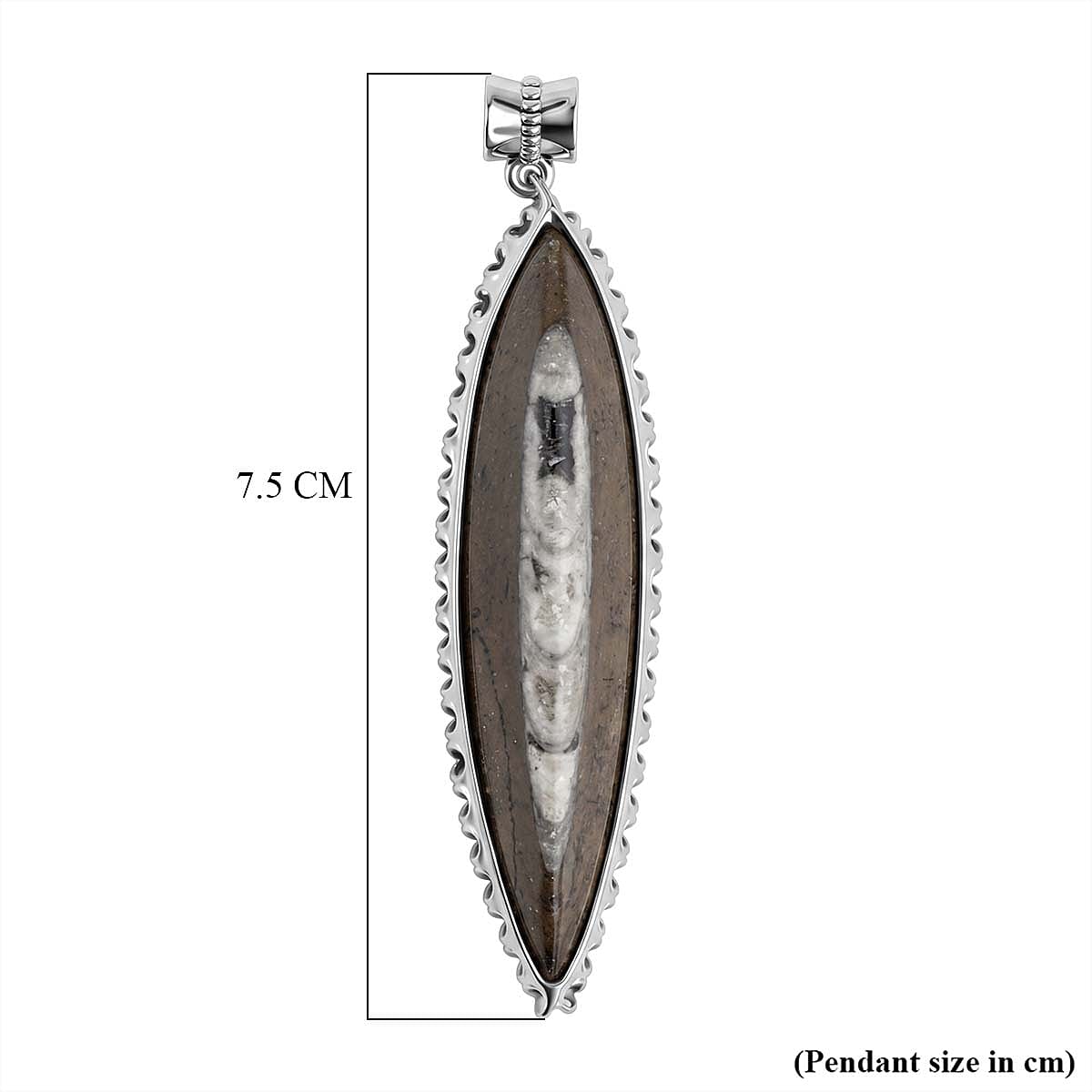 The Artefact Collection - Orthoceras Handmade Pendant 59.00 Ct.