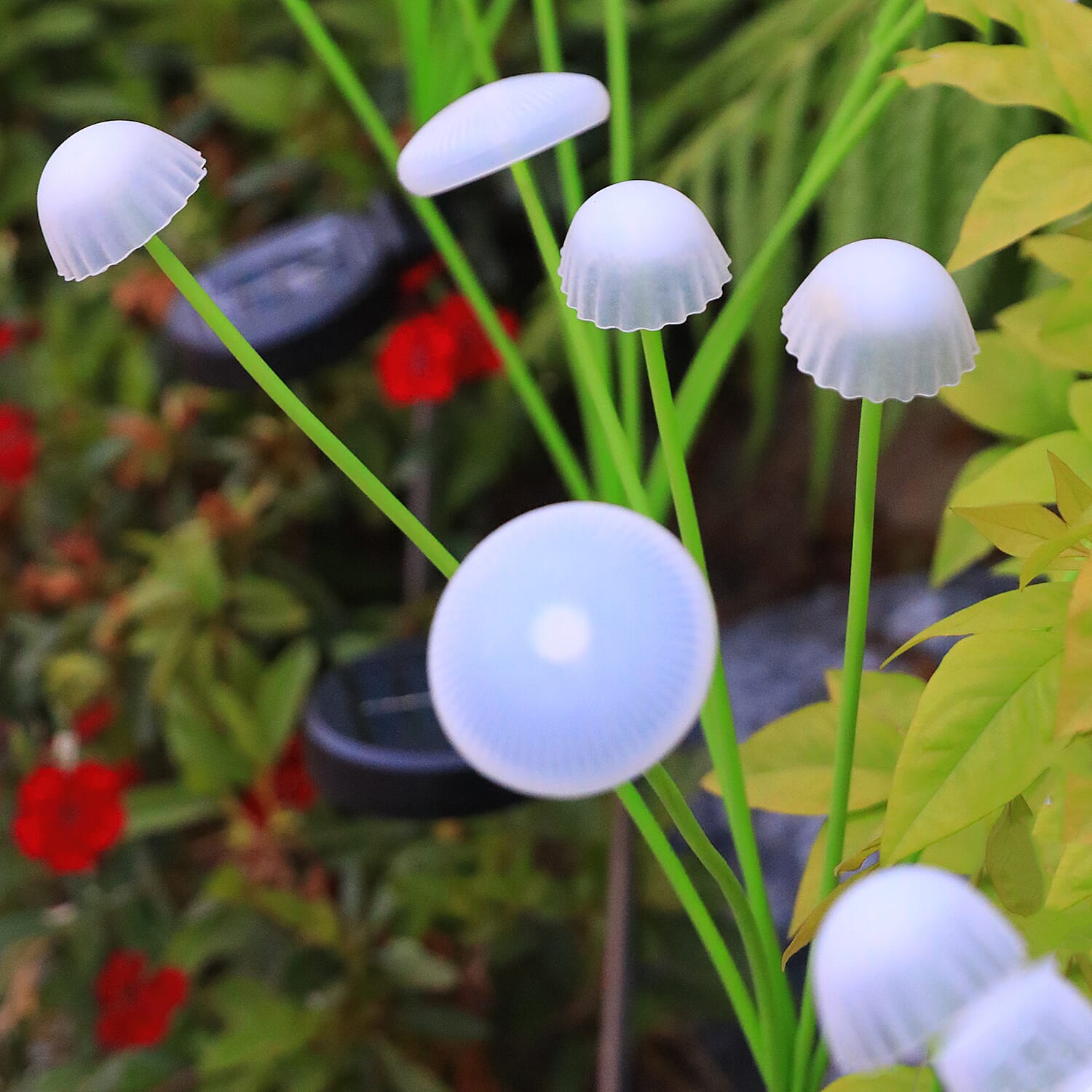 Set of 3 Jellyfish Mushroom Solar Light with 8 Heads - Green & Warm White