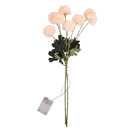 Set of 2 - Faux Flower Branches with LED Lights (60cm) - Champagne