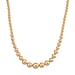Golden Shell Pearl Necklace (Size 20 - 2 Ext) with Lobster Clasp 290.00 Ct.