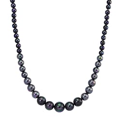 Peacock Colour Shell Pearl Necklace (Size 20 - 2 Ext) with Lobster Clasp 290.00 Ct.