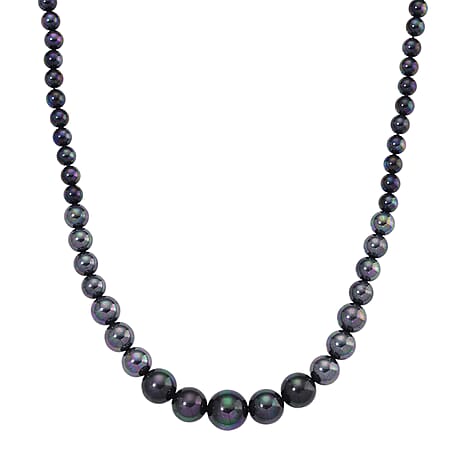Peacock Colour Shell Pearl Necklace (Size 20 - 2 Ext) with Lobster Clasp 290.00 Ct.