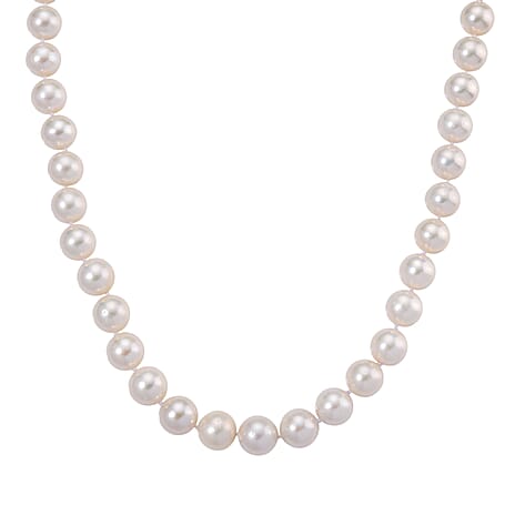 AAAA Rare Size Edison Pearl (14mm) Yellow Gold Plated Necklace (20 Inch) with Magnetic Clasp 500.00 Ct.
