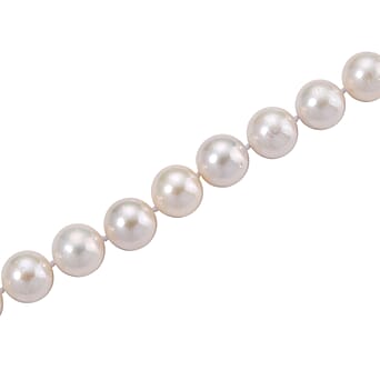 https://tjcuk.sirv.com/Products/81/9/8193941/Edison-Pearl-Necklace-Size-20-Sterling-Silver-500-000-Ct_8193941_3.jpg?w=342&h=342