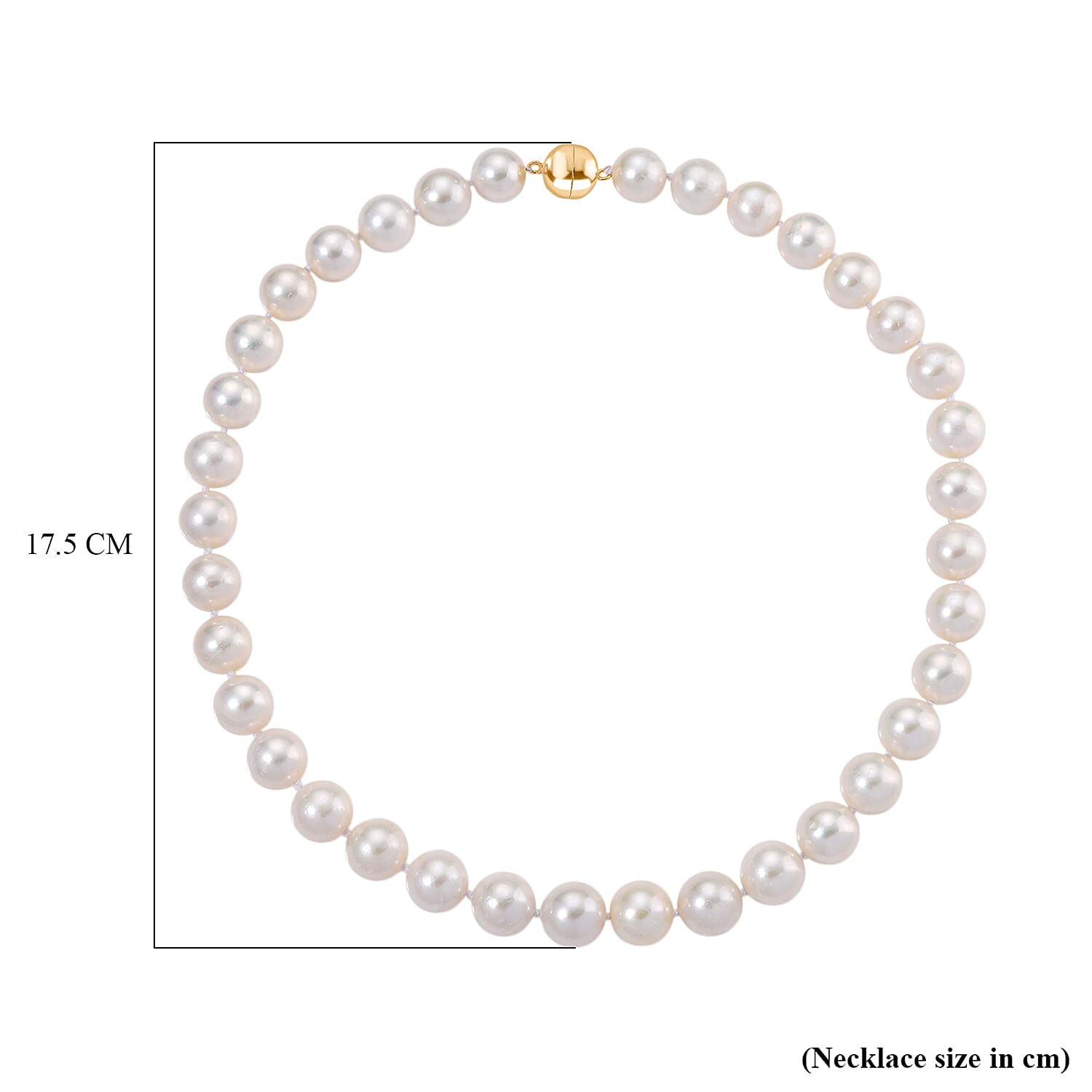 AAAA Rare Size Edison Pearl (14mm) Yellow Gold Plated Necklace (20 Inch) with Magnetic Clasp 500.00 Ct. AAAA Rare Size Edison Pearl (14mm) Yellow Gold Plated Necklace (20 Inch) with Magnetic Clasp 500.00 Ct.