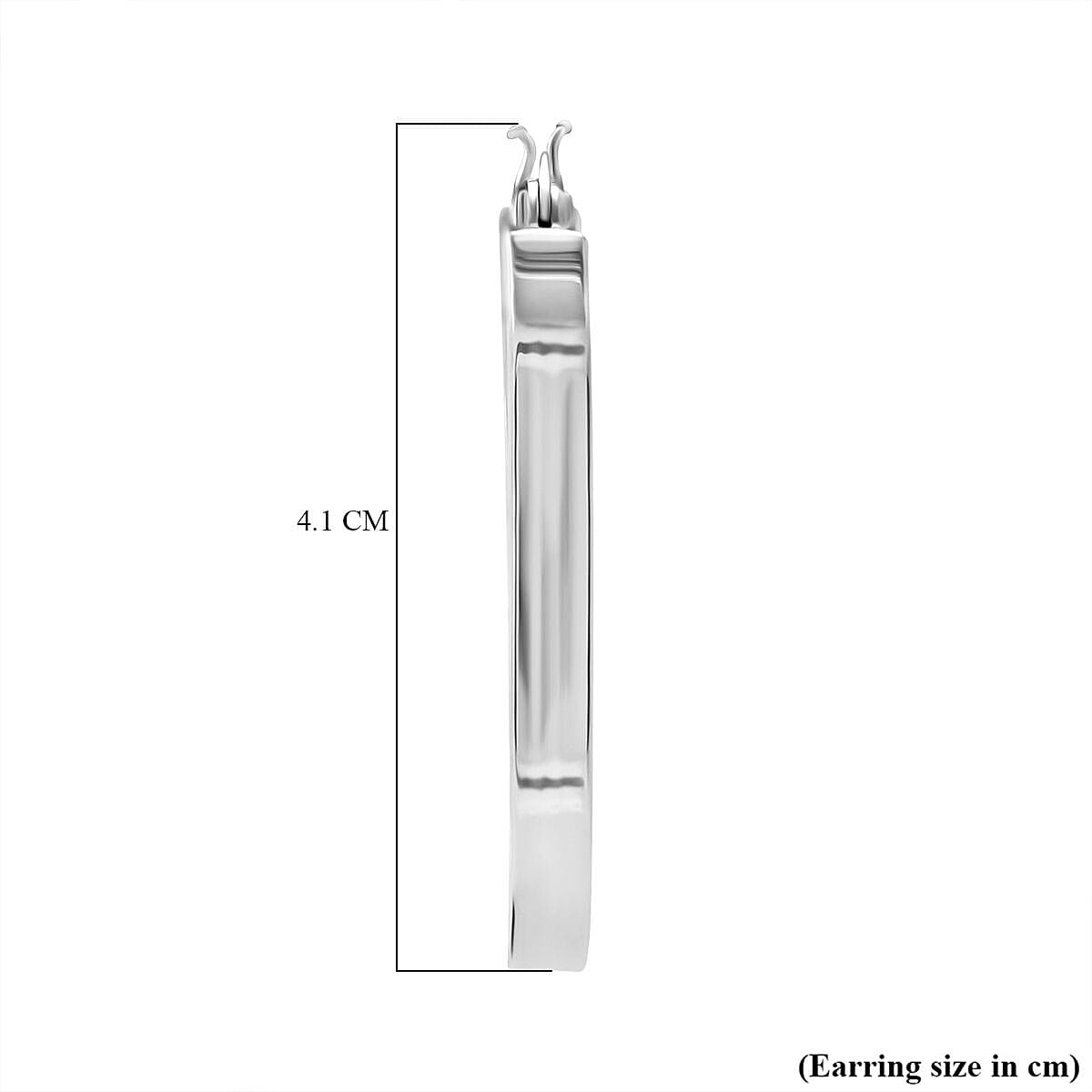 Sterling Silver Earring with Clasp, Silver Wt.5.56 Gms. Sterling Silver Earring with Clasp, Silver Wt.5.56 Gms.