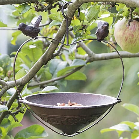 Summer Essential - Bird Feeder with Hook - Brown