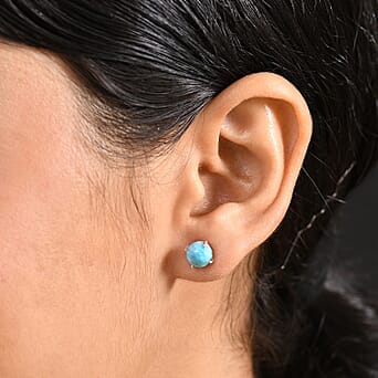https://tjcuk.sirv.com/Products/81/9/8195007/D-joy-Larimar-Earring-in-Rhodium-OverlaySterling-Silver-3-426-Ct_8195007_2.jpg?w=342&h=342