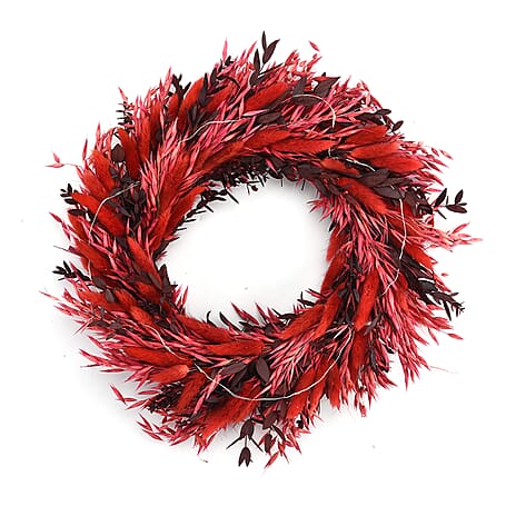 Natural Dried Plant Wreath with LED Light (One Size) - Red & Multicolour