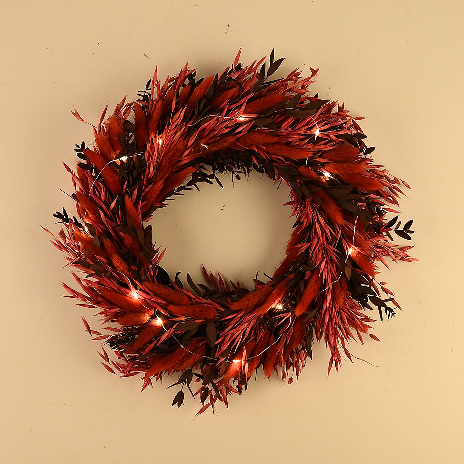 Natural Dried Plant Wreath with LED Light (One Size) - Red & Multicolour