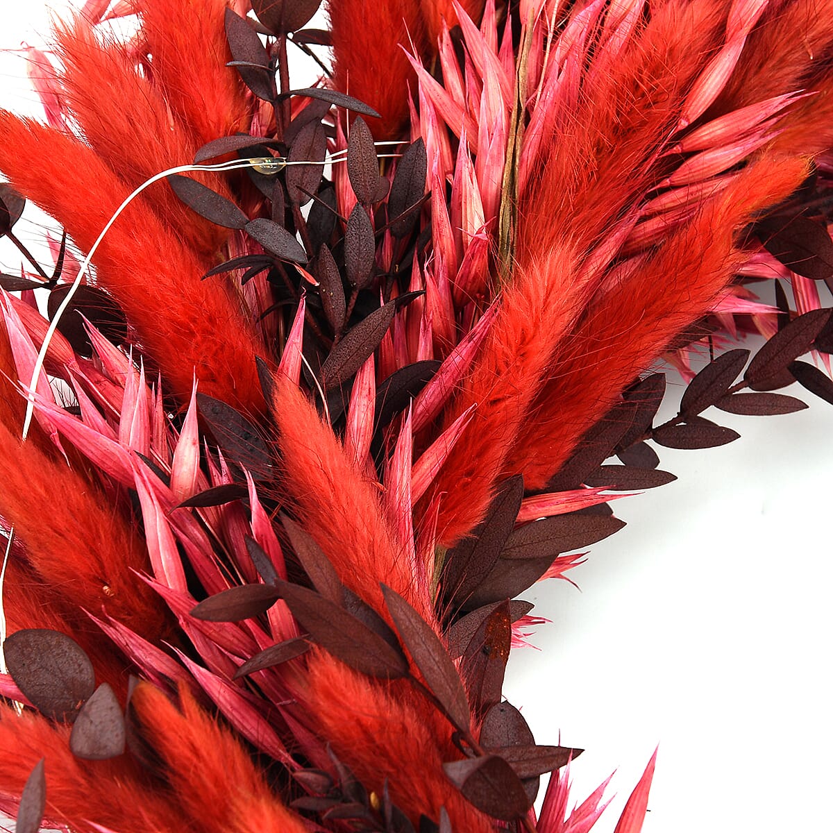 Natural Dried Plant Wreath with LED Light (One Size) - Red & Multicolour