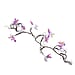 Butterfly Vine LED String Lights with 8-Function USB - Blue & Purple