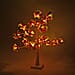 Warm Light Tree with Yellow & Pink Flowers with Timer & USB Power (60cm) - White