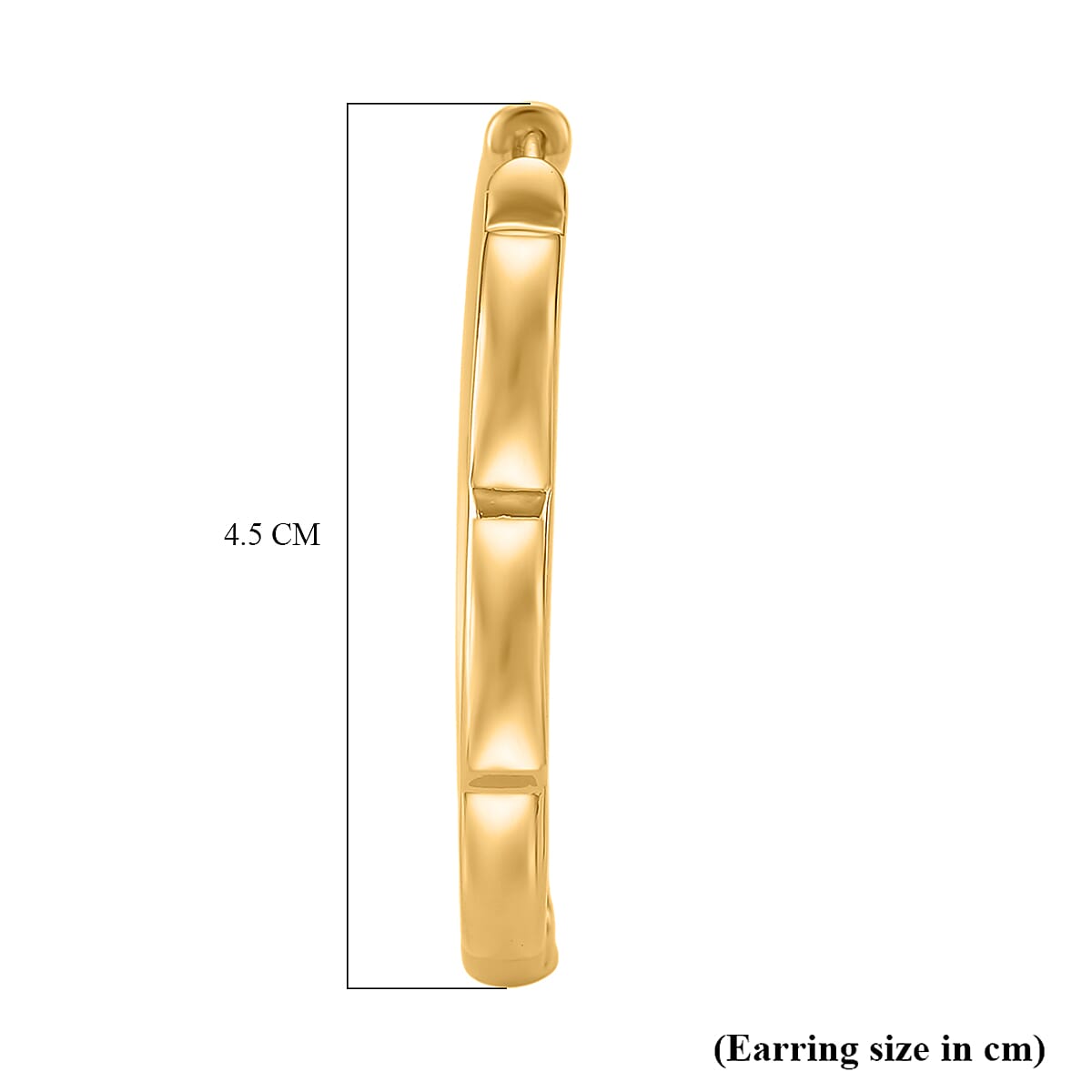 Designer Inspired Hoop earring