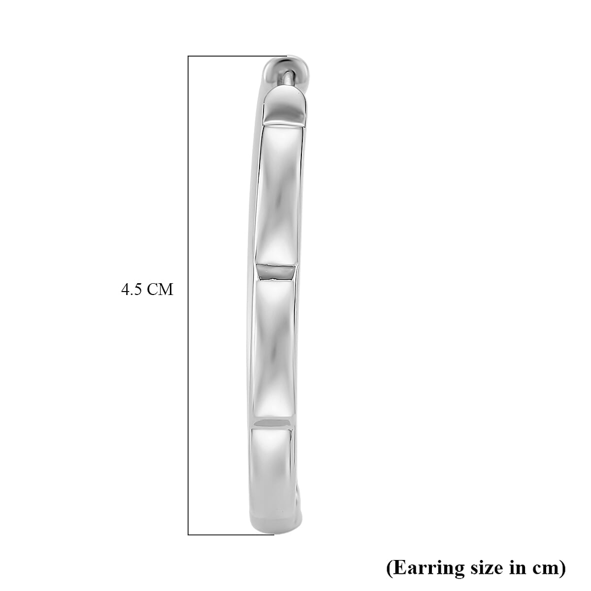 Earring with Hoop in Silver Colour Plated