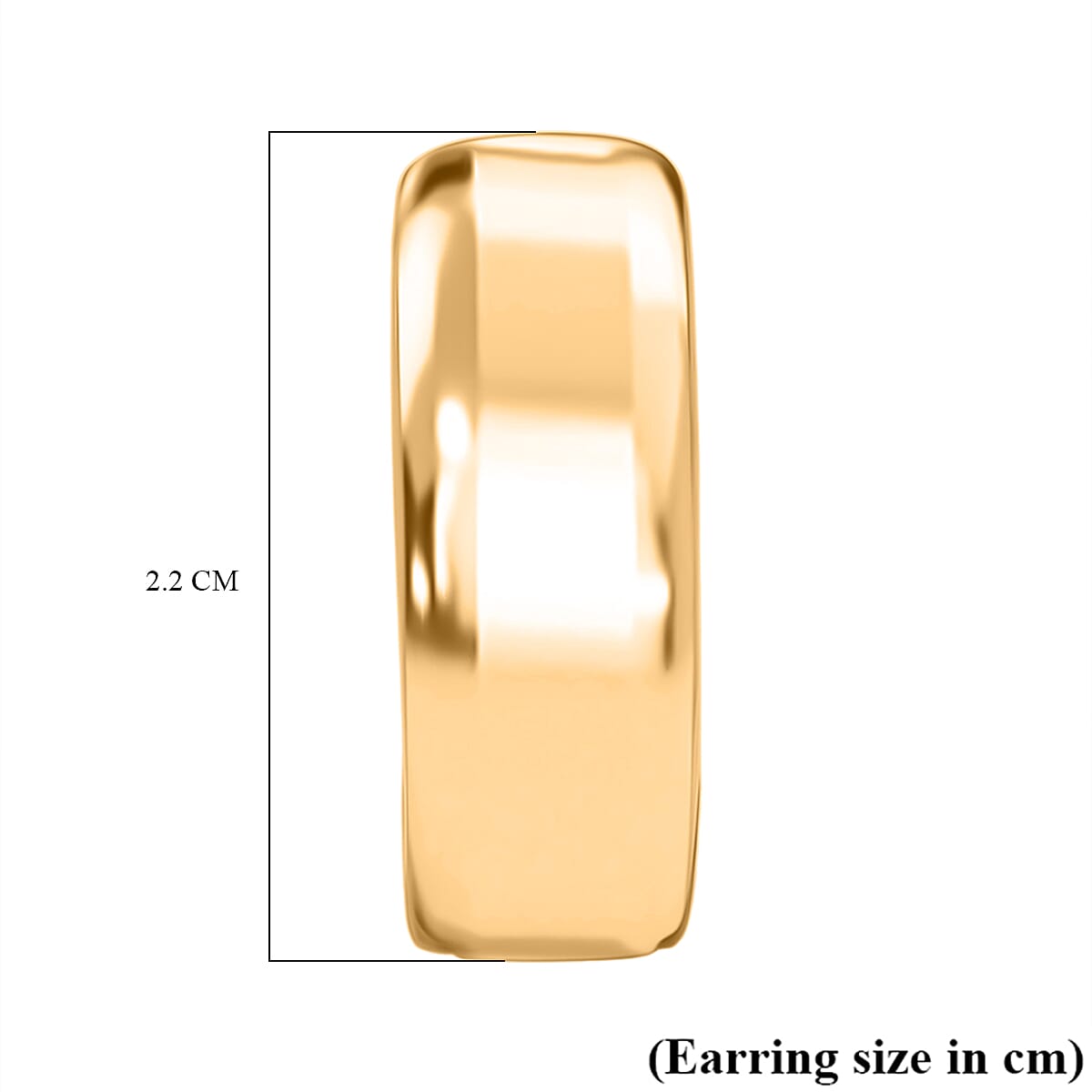 Earring with Hoop in Yellow Gold Plated