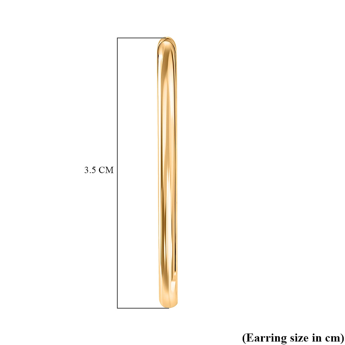 Designer Inspired Hoop earrings