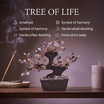 https://tjcuk.sirv.com/Products/82/0/8201331/8201331_2.jpg?w=342&h=342