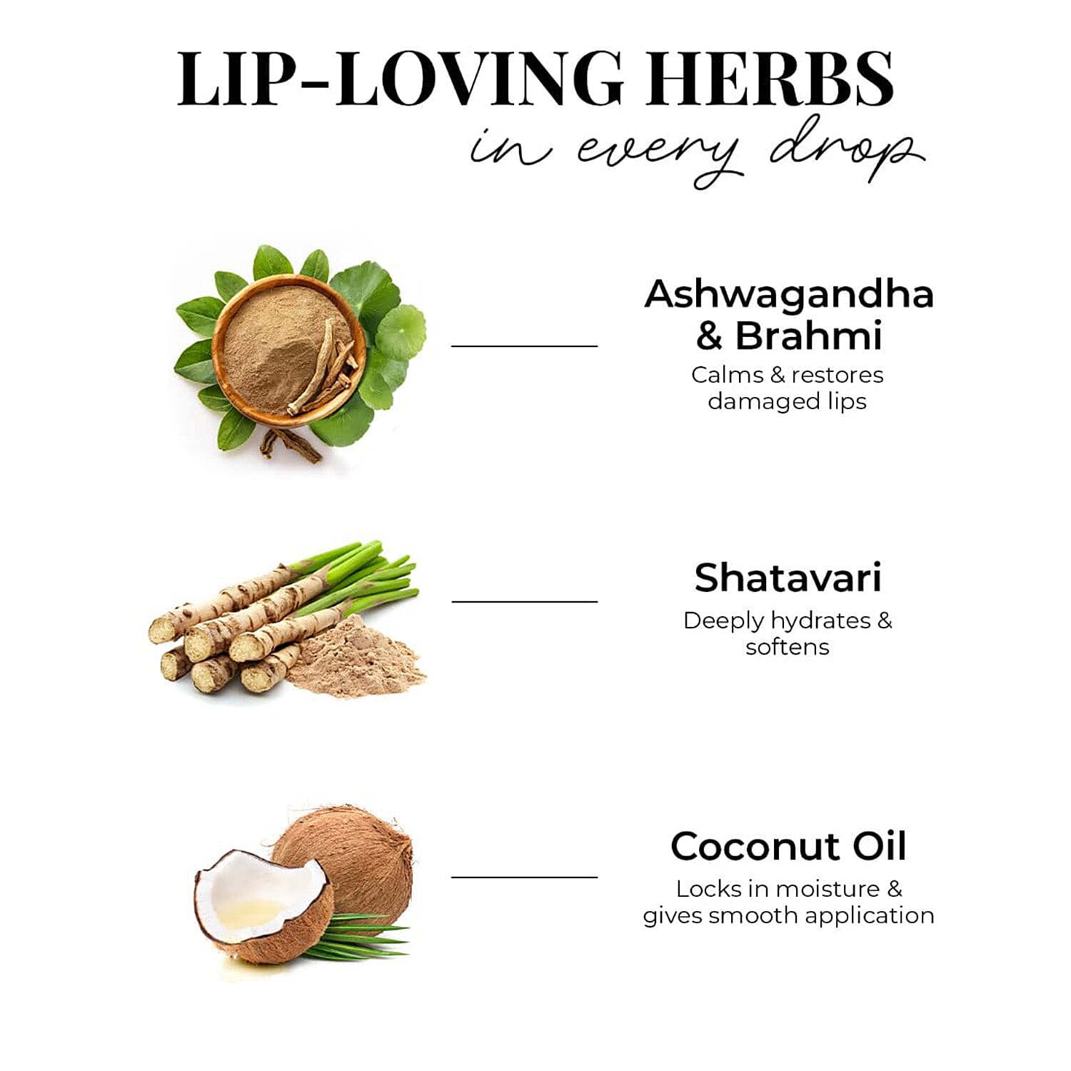 Just Herbs- Set of 5 - Ayurvedic Liquid Matte Finish Lipstick Kit - Deeps & Reds Just Herbs- Set of 5 - Ayurvedic Liquid Matte Finish Lipstick Kit - Deeps & Reds