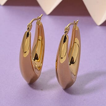https://tjcuk.sirv.com/Products/82/0/8205340/Earring-with-Clasp-in-Yellow-Gold-Plated_8205340_1.jpg?w=342&h=342