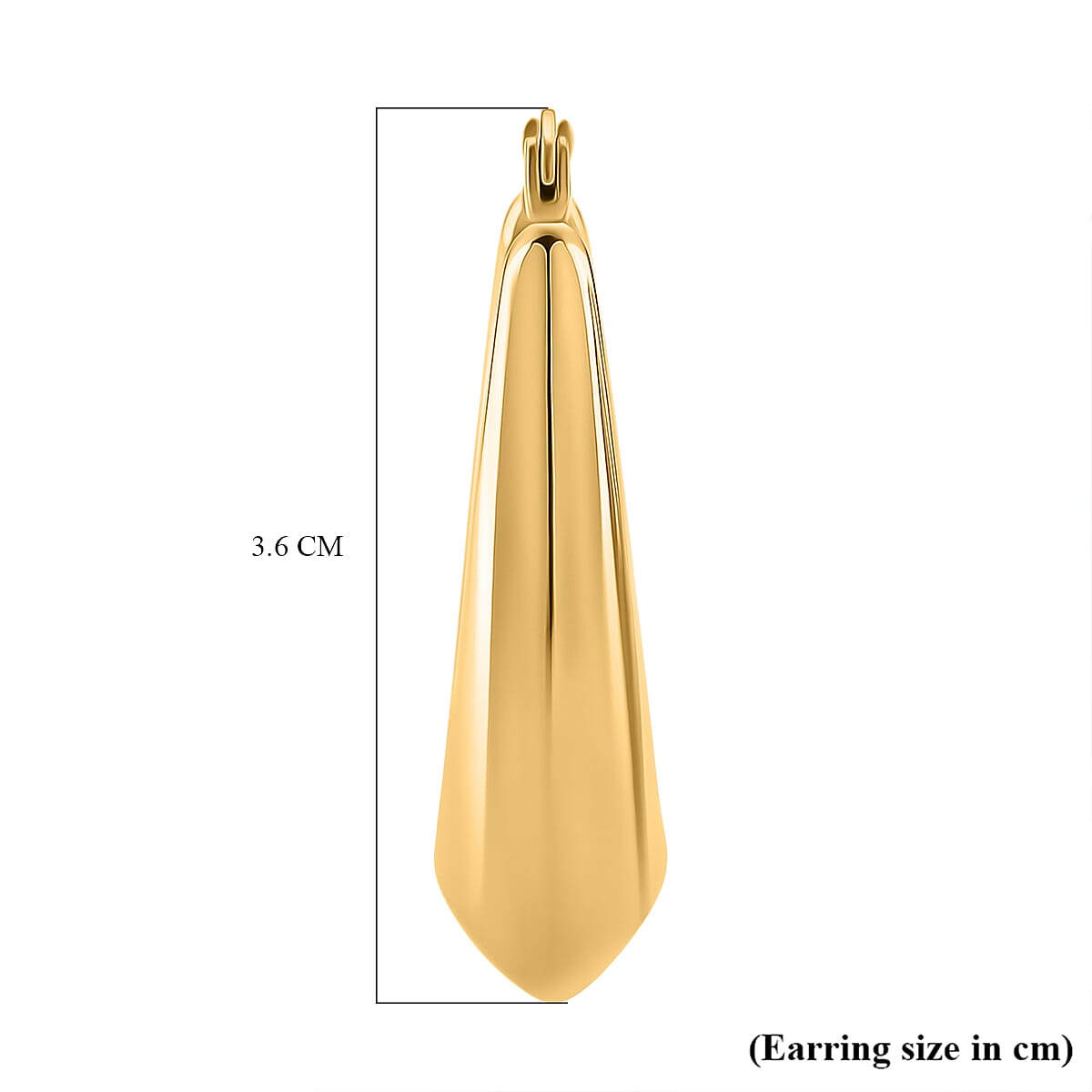 Earring with Clasp in Yellow Gold Plated