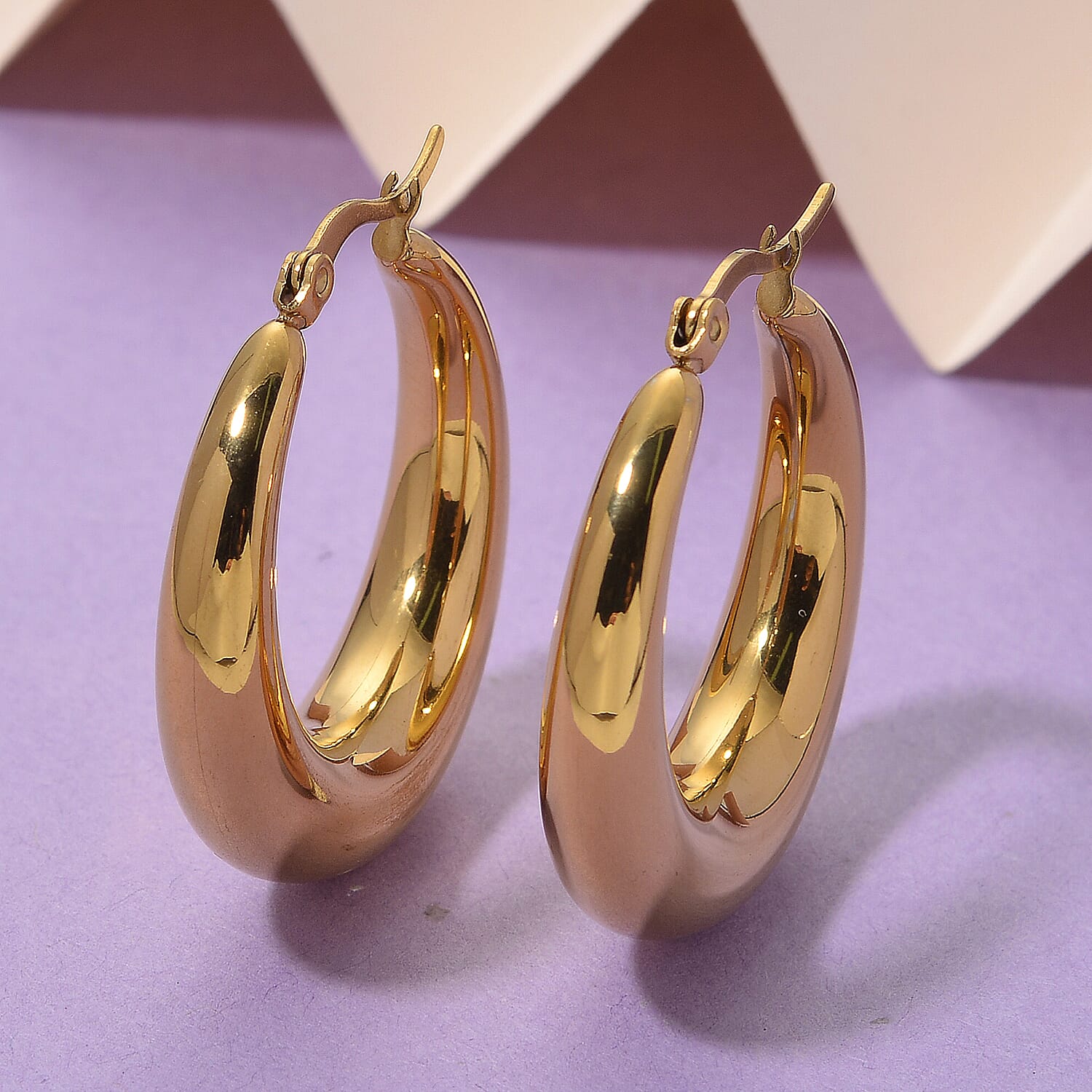 Designer Inspired - Hoop Earring with Clasp