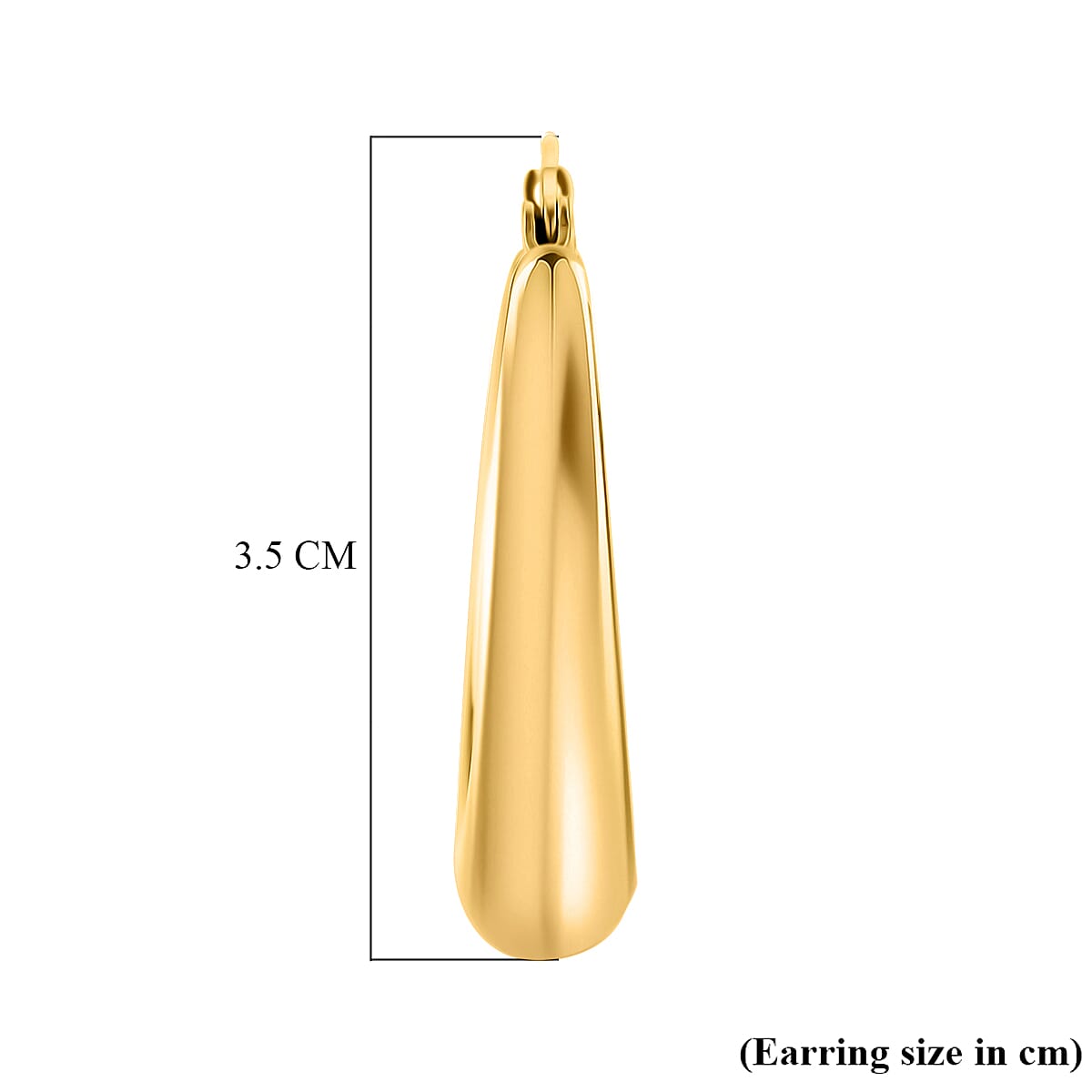 Designer Inspired - Hoop Earring with Clasp