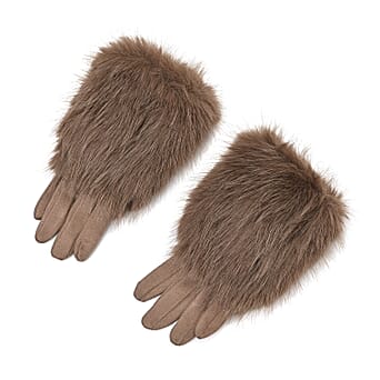 https://tjcuk.sirv.com/Products/82/0/8206528/Glove-and-Mitten-Size-One-Size-Khaki_8206528.jpg?w=342&h=342
