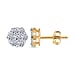 LUXURIANT 1 Ct. Lab Grown Diamond Cluster Earring with Push Post in 18K Vermeil Yellow Gold Sterling Silver I1-EF