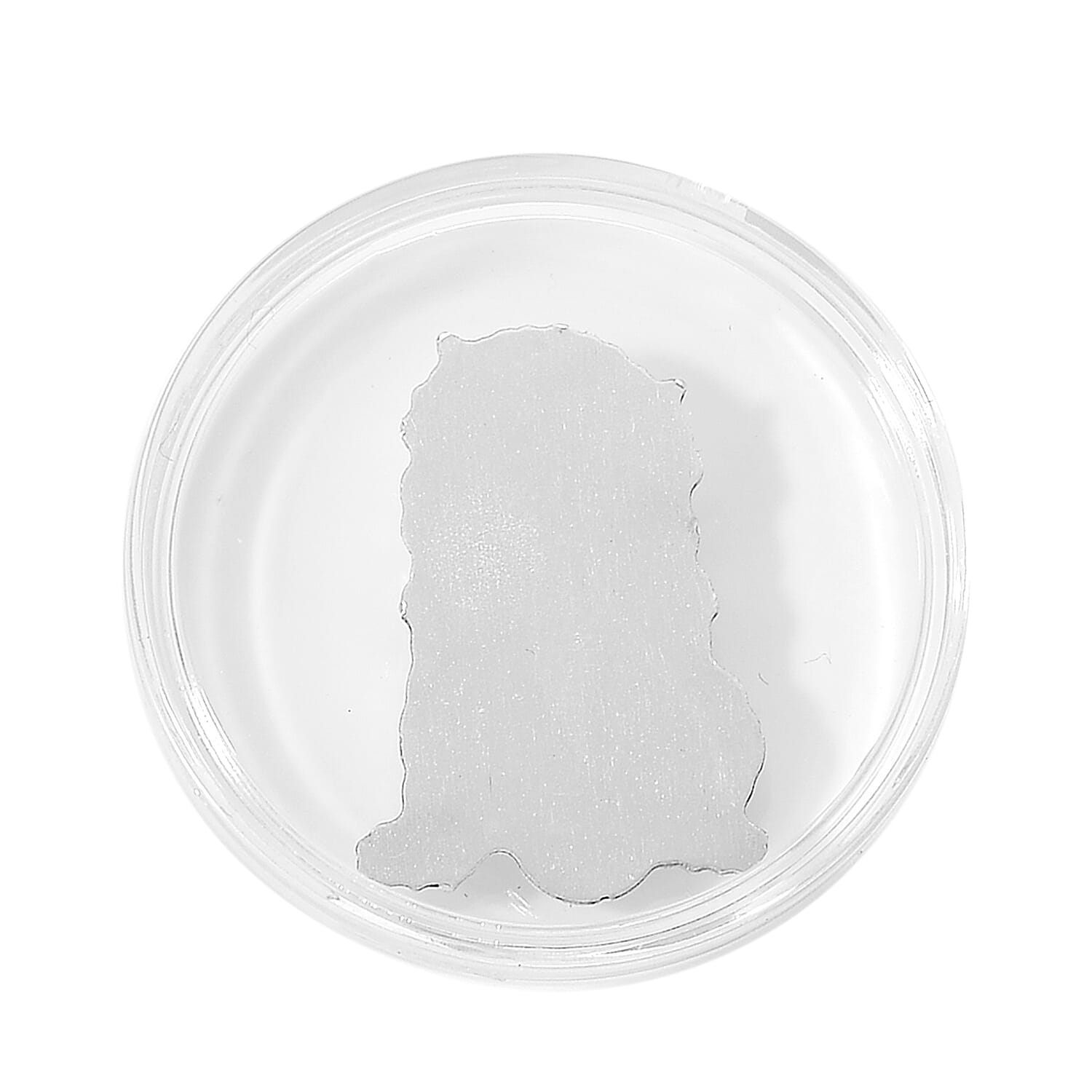 999 White Silver Bar Pixiu