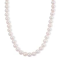 Limited Edition- AAAA Rare Size Edison Pearl  in Yellow Gold Plating Necklace (Size 20) with Magnetic Clasp 465.00 Ct.