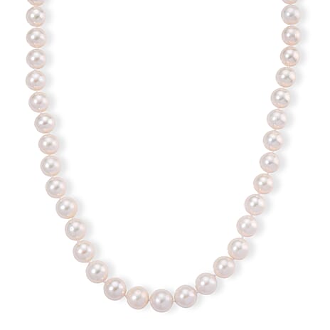 Limited Edition- AAAA Rare Size Edison Pearl  in Yellow Gold Plating Necklace (Size 20) with Magnetic Clasp 465.00 Ct.