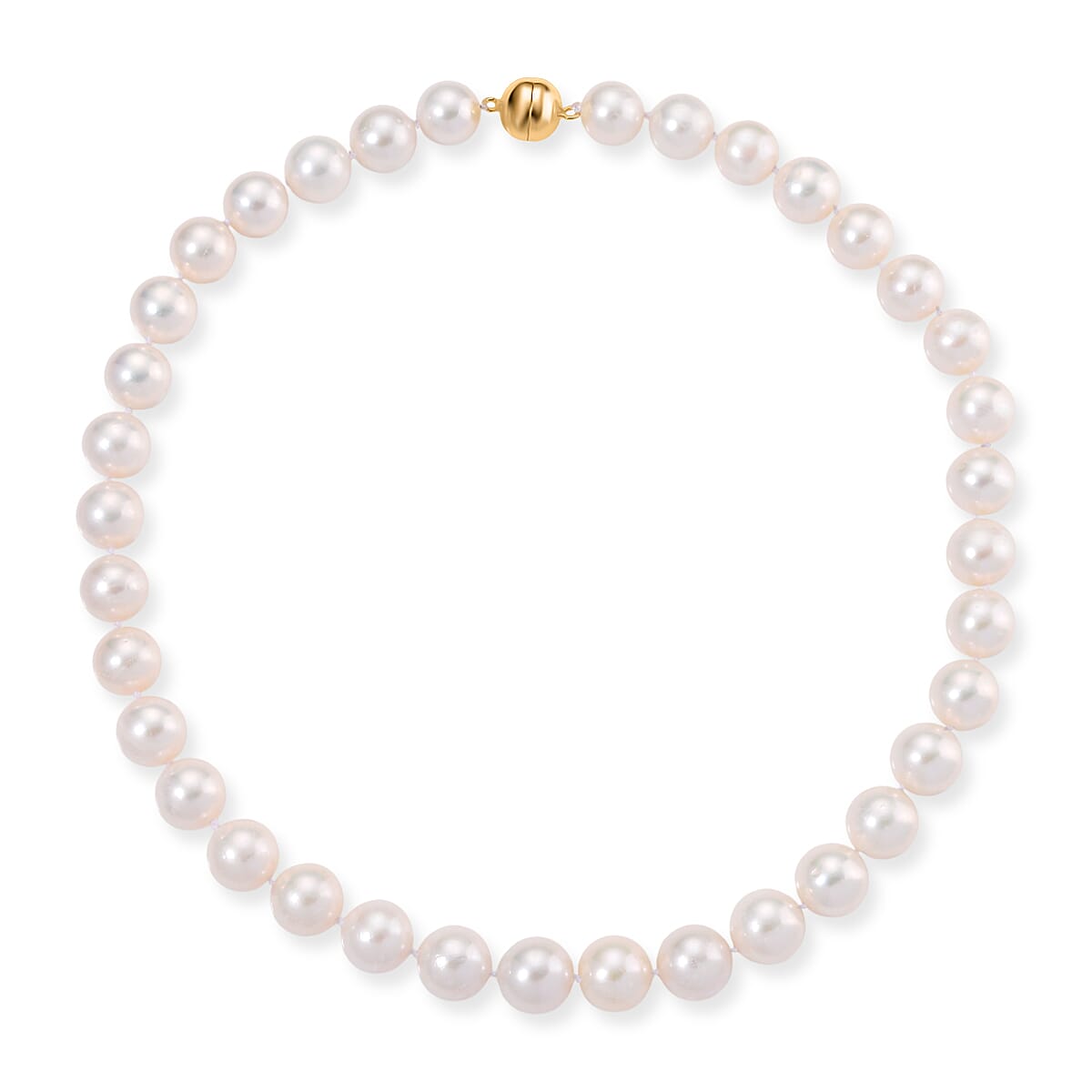 Limited Edition- AAAA Rare Size Edison Pearl  in Yellow Gold Plating Necklace (Size 20) with Magnetic Clasp 465.00 Ct.