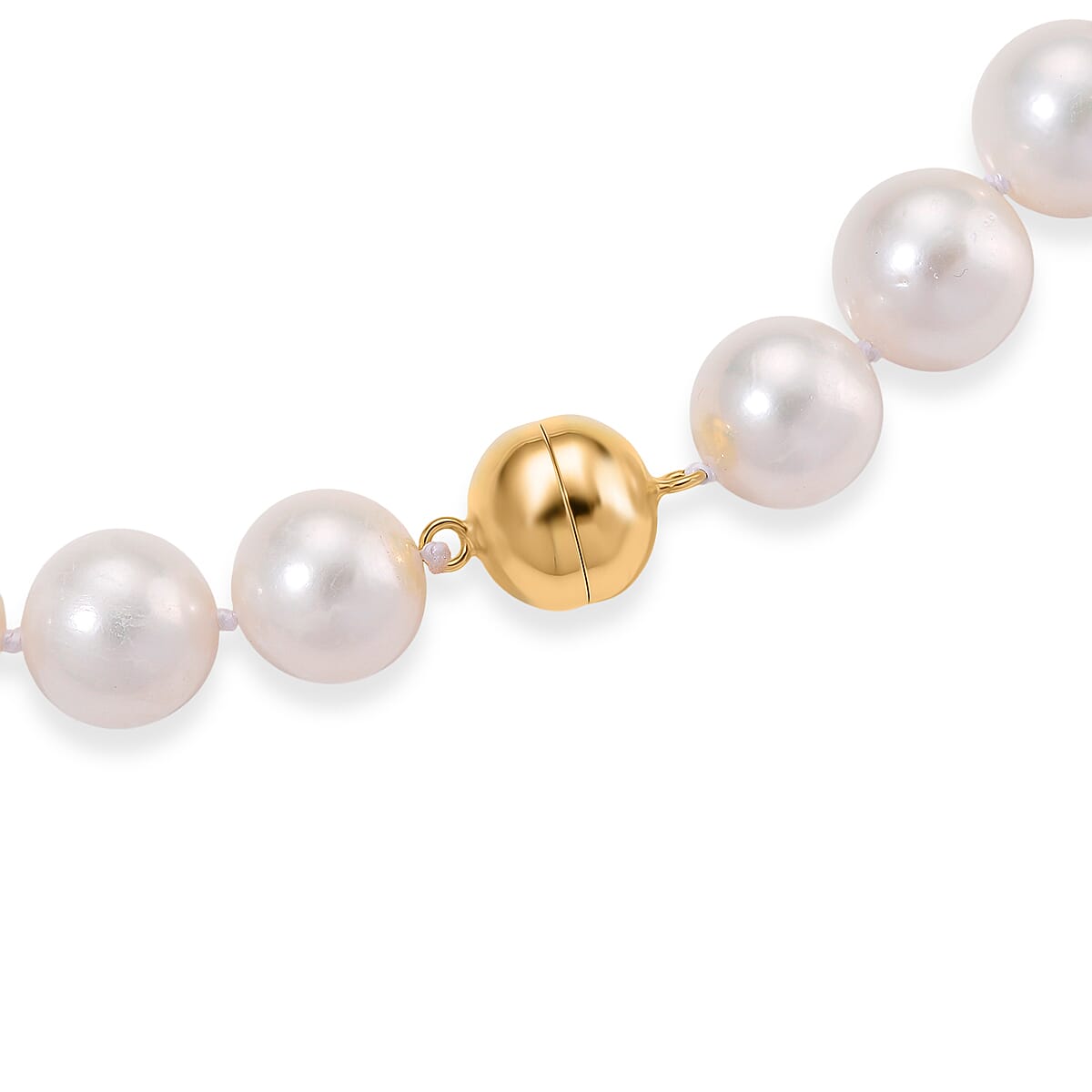 Limited Edition- AAAA Rare Size Edison Pearl  in Yellow Gold Plating Necklace (Size 20) with Magnetic Clasp 465.00 Ct.