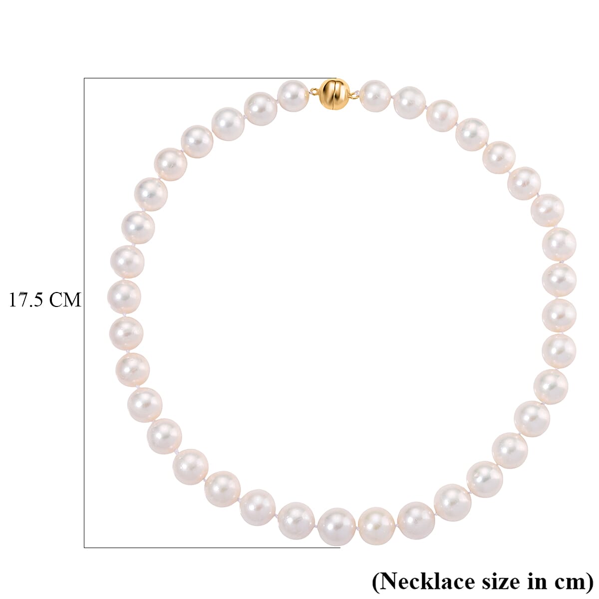 Limited Edition- AAAA Rare Size Edison Pearl  in Yellow Gold Plating Necklace (Size 20) with Magnetic Clasp 465.00 Ct.