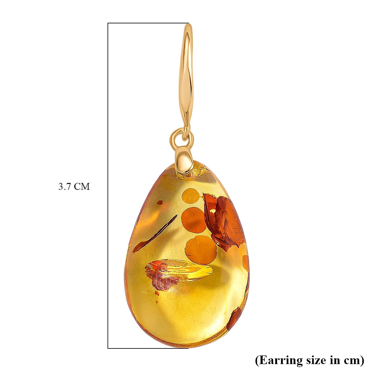 D'joy Amber Earring with Hook in Yellow Gold Plating Sterling Silver 6.85 Ct.