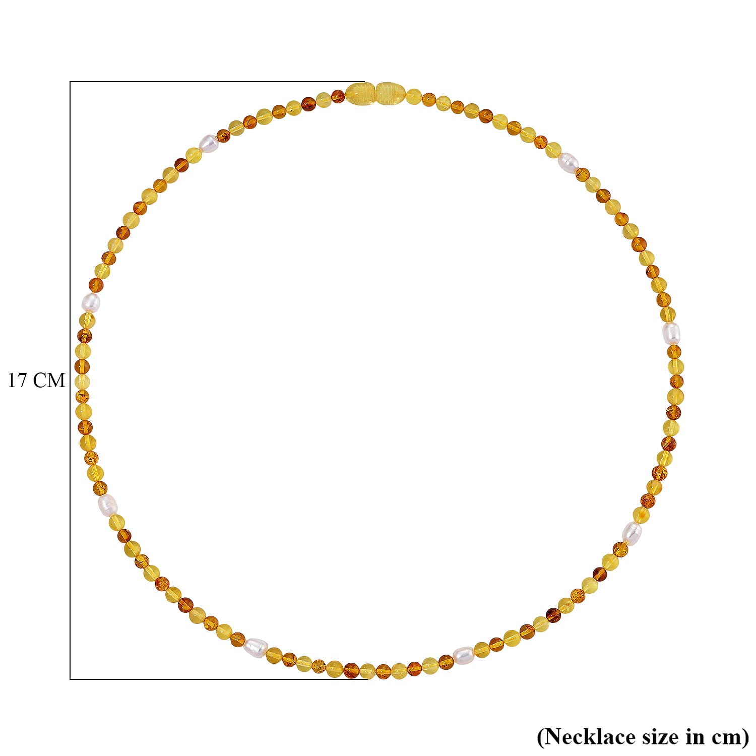 Multi Colour Baltic Amber & Fresh Water Pearl  Necklace (Size - 20) with Screw Clasp 35.00 Ct.
