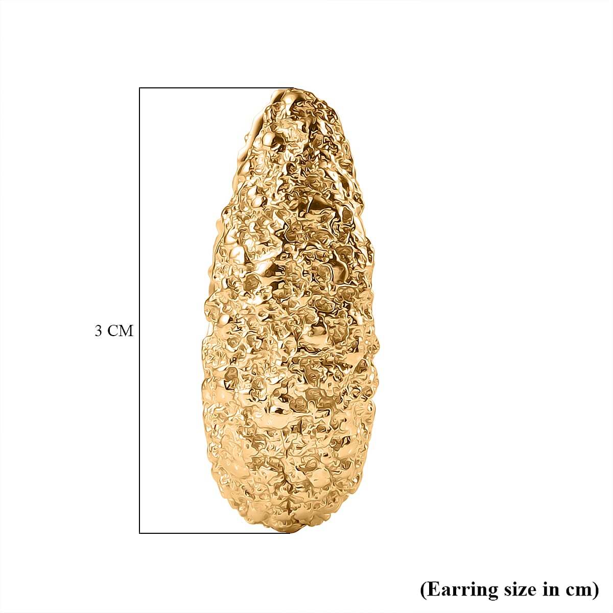 Designer Inspired Close Out Deal - Hoop Earrings in Yellow Gold Plated