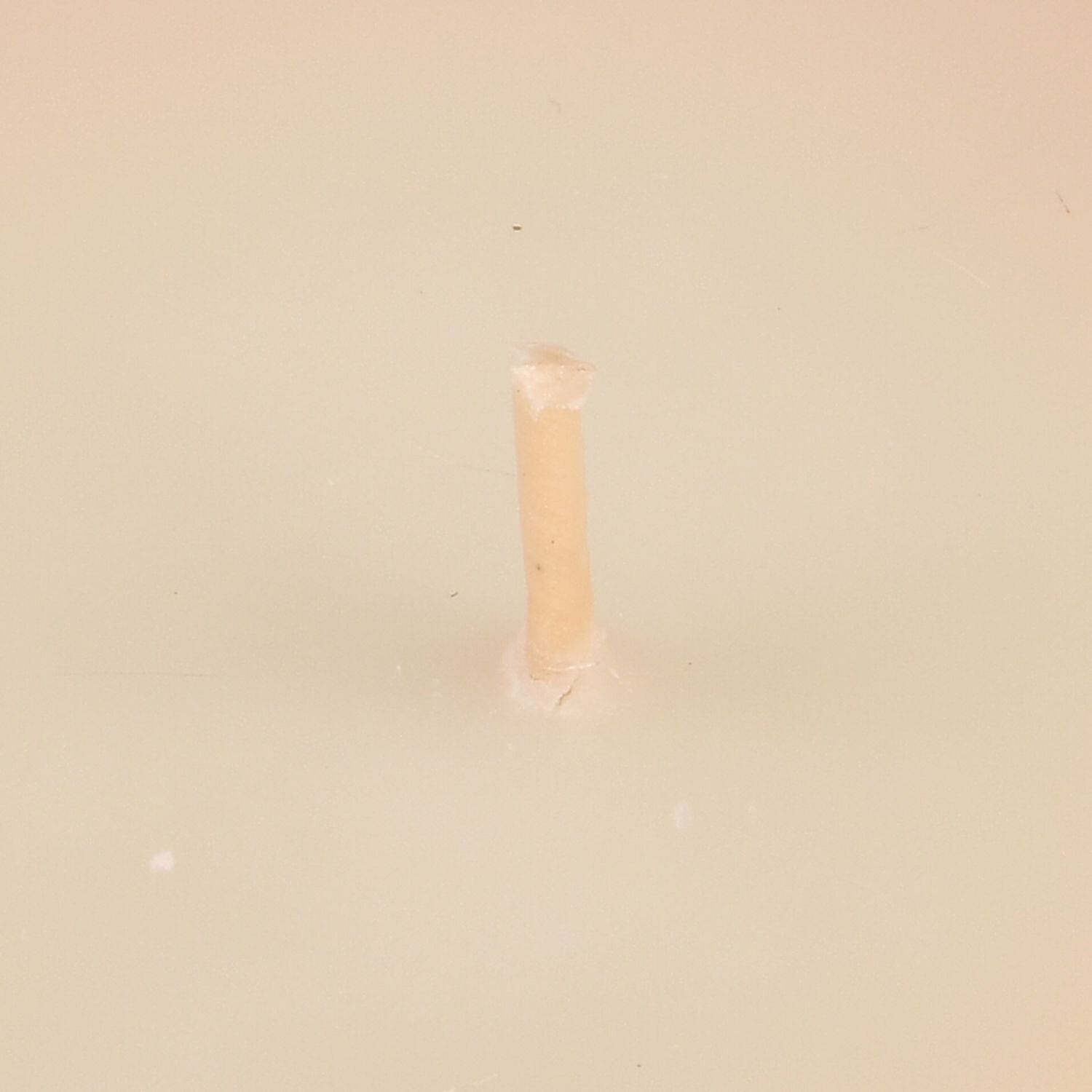 THE HOME LUXURY - Leather - Saffron Scent Glass Jar Soy Candle with Burn Time upto 55 Hours - Orange