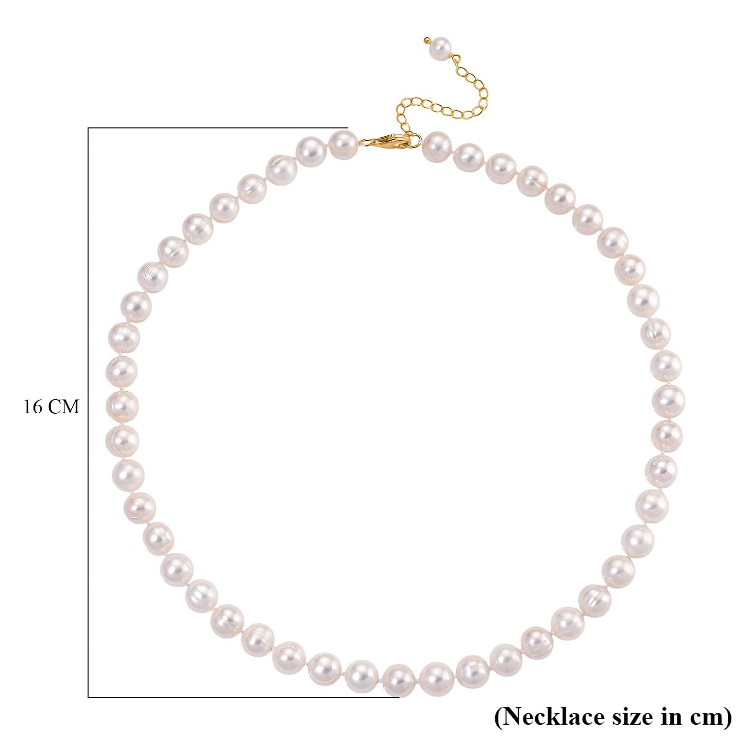 White Fresh Water Pearl Necklace (Size 18 - 2 Ext) with Lobster Clasp in Yellow Gold Plating Sterling Silver 225.00 Ct.