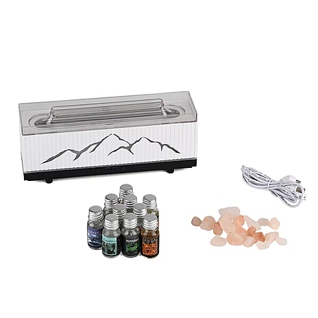 Bliss and Beyond Double Spray Diffuser with 10 Oils, Himalayan Salt Rocks - USB 5V Essential Oil Humidifier with Timer - 2-Colour LED Light - White