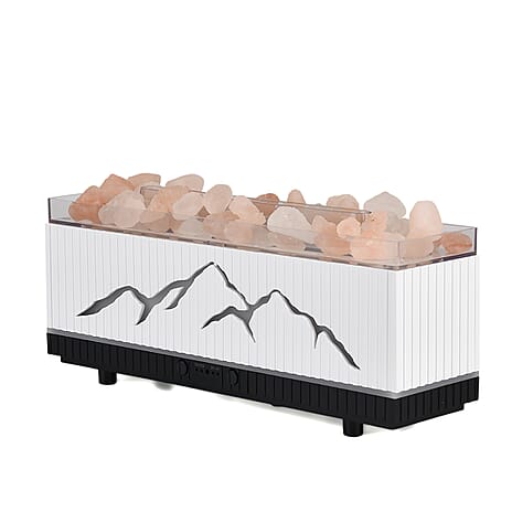 Bliss and Beyond Double Spray Diffuser with 10 Oils, Himalayan Salt Rocks - USB 5V Essential Oil Humidifier with Timer - 2-Colour LED Light - White