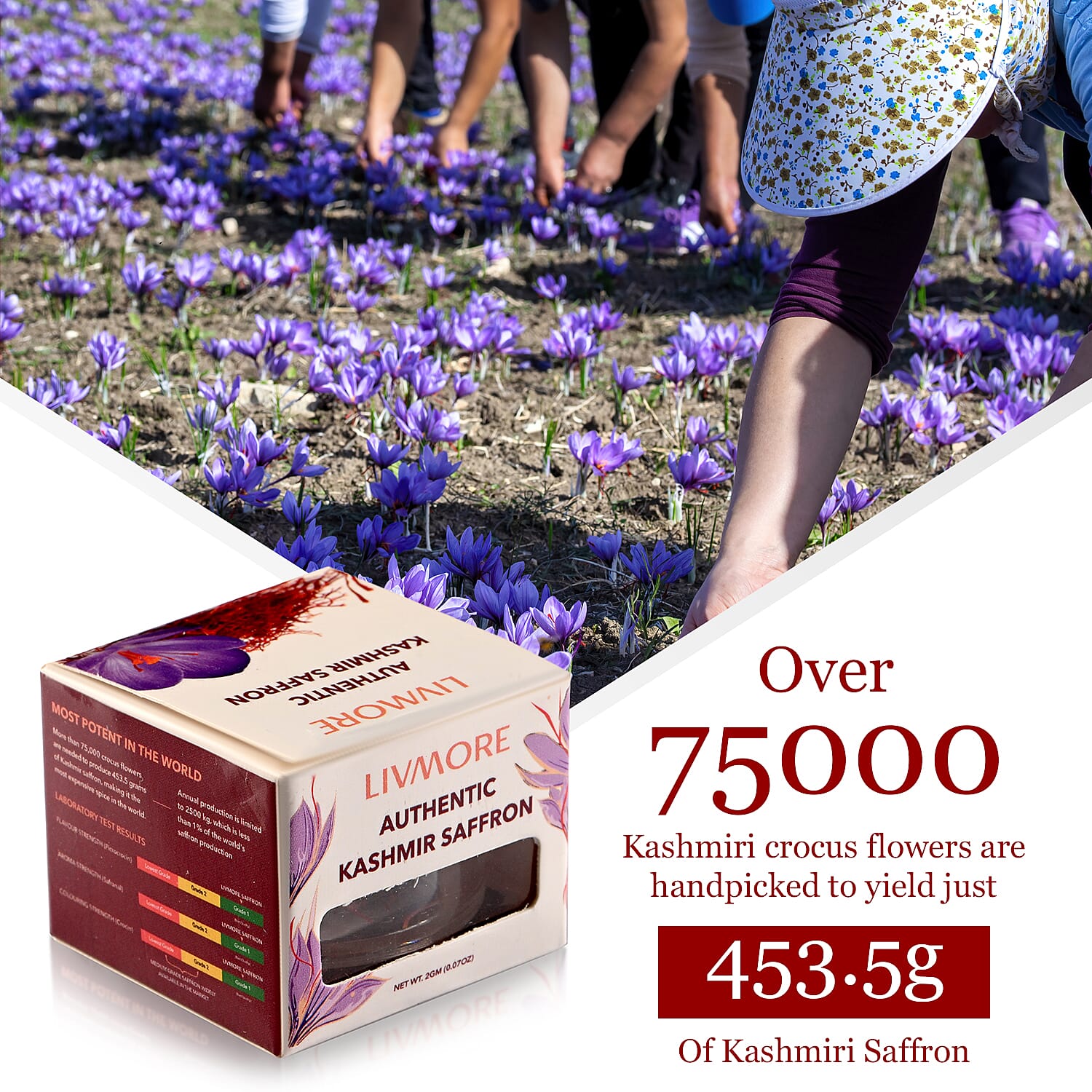 LIVMORE 100% Pure Authentic Kashmiri Saffron - 2 Grams